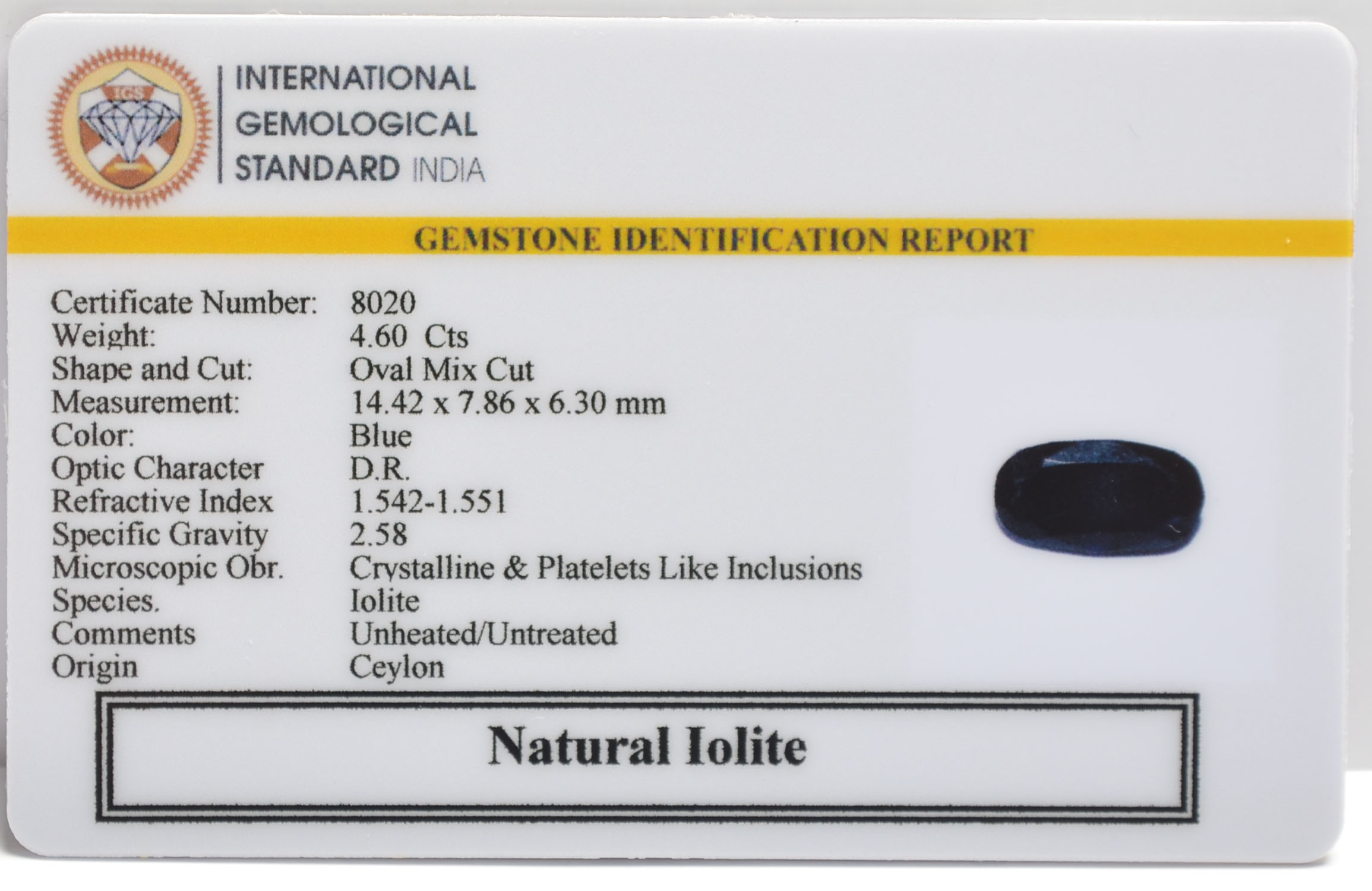 IOLITE NILLI 4.6 Ct. 3 NIL2688 2 IOLITE NILLI 4.6 Ct.