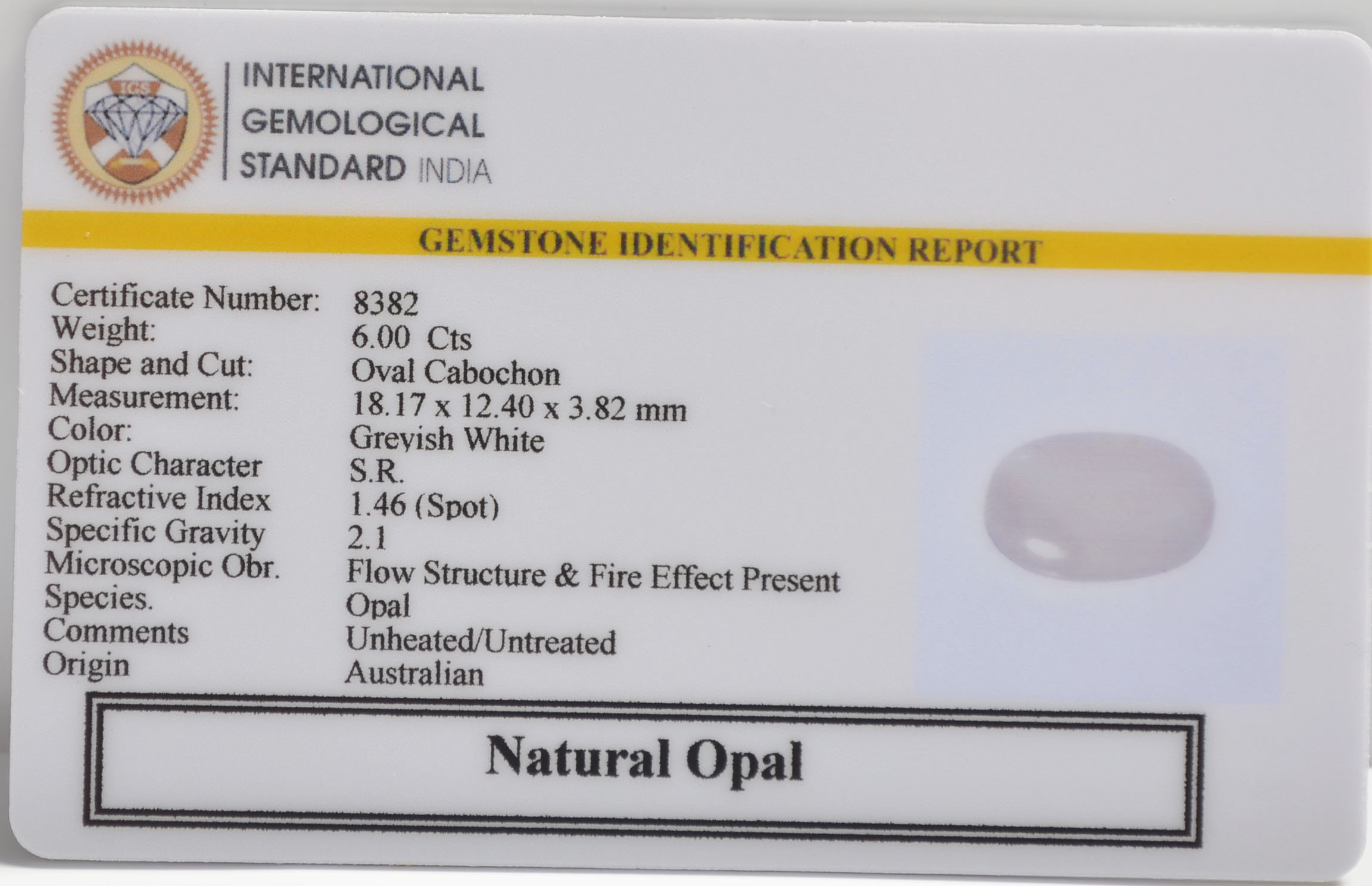 OPL9589 2 OPAL 6 Ct.