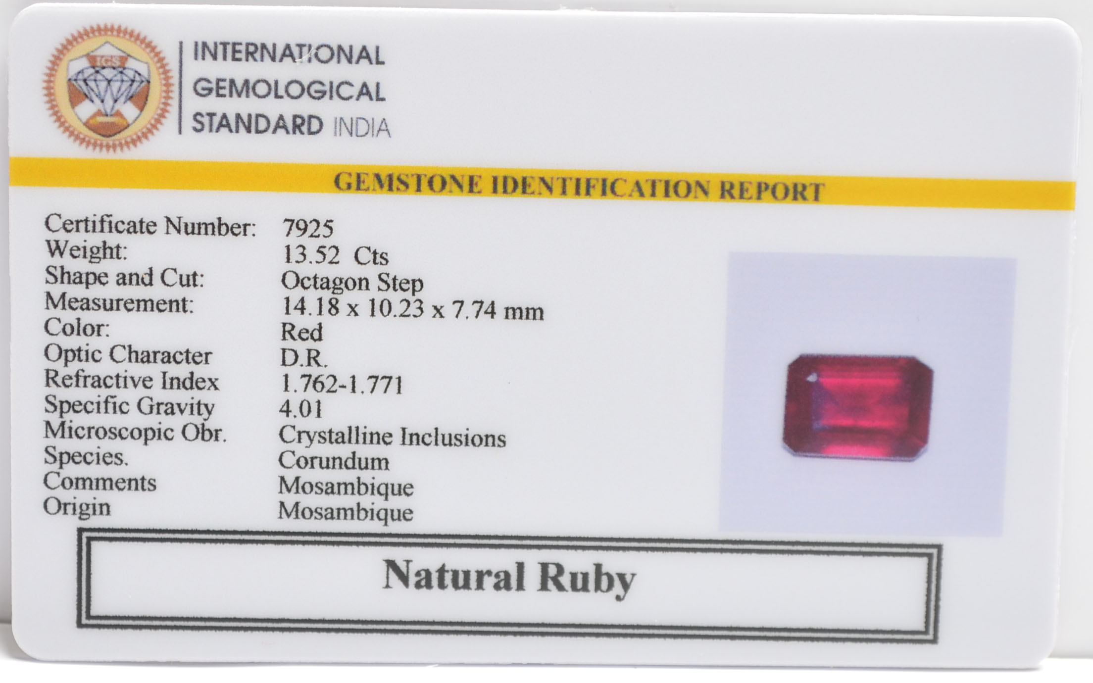RUB8437 2 RUBY 13.52 Ct.