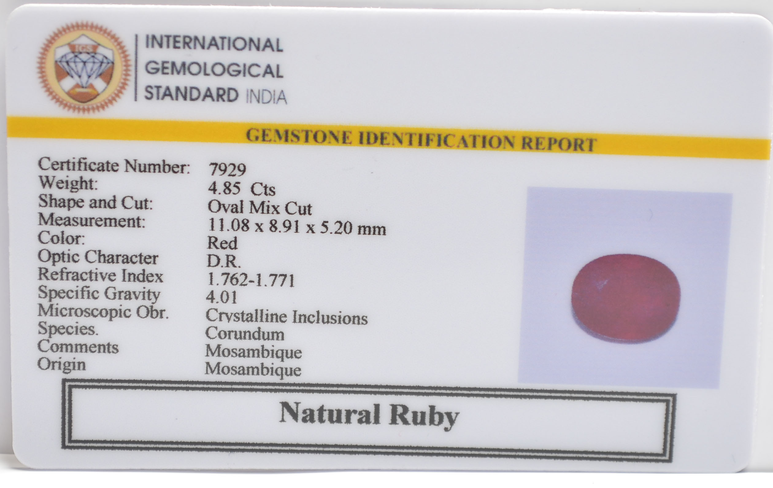 RUB8439 2 RUBY 4.85 Ct.