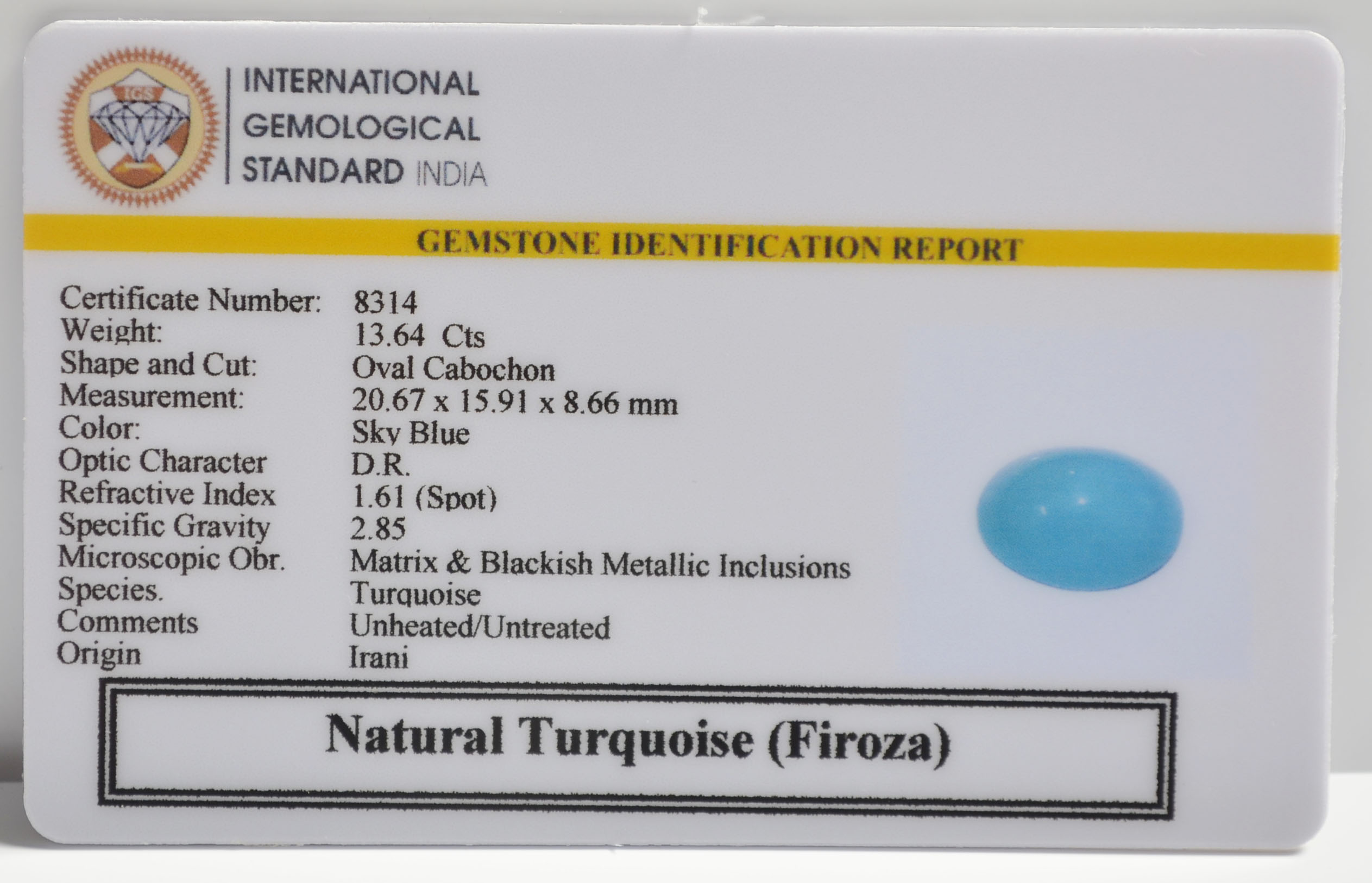 TUR2885 2 TURQUOISE 13.64 Ct.