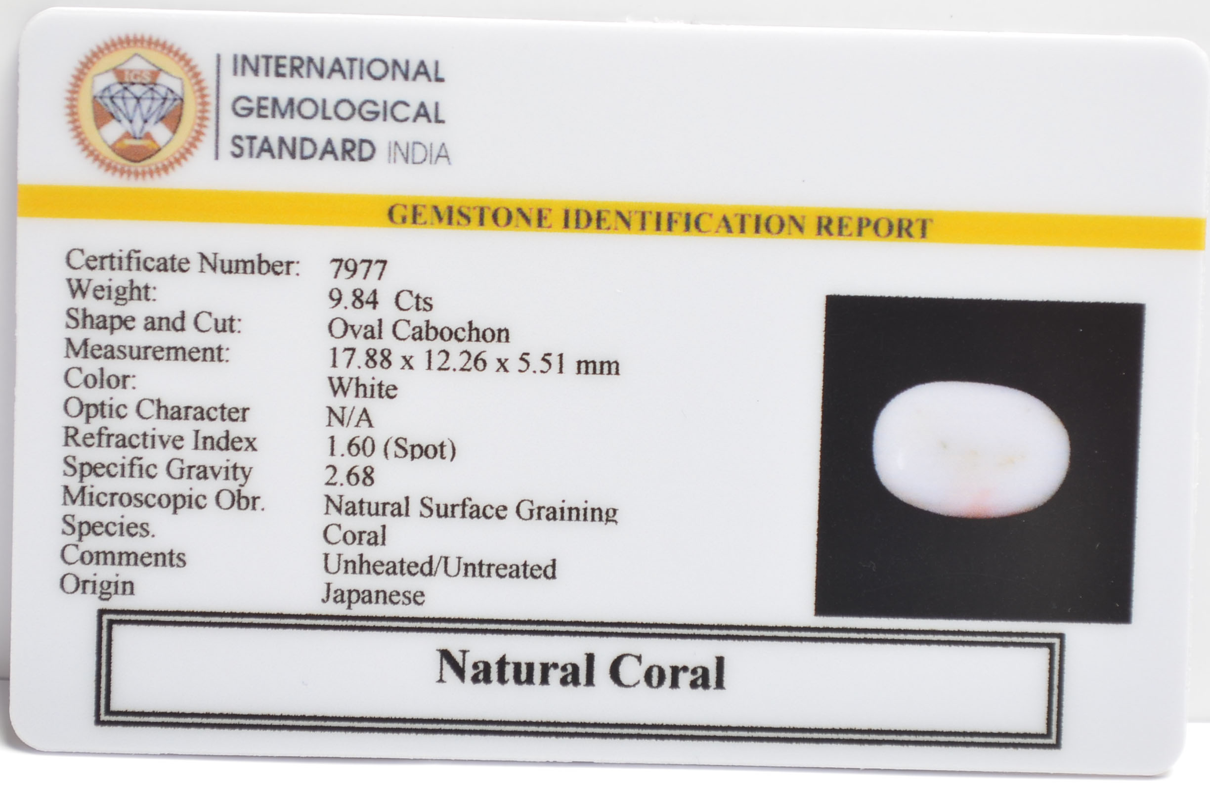 WC402 2 WHITE CORAL 9.84 Ct.