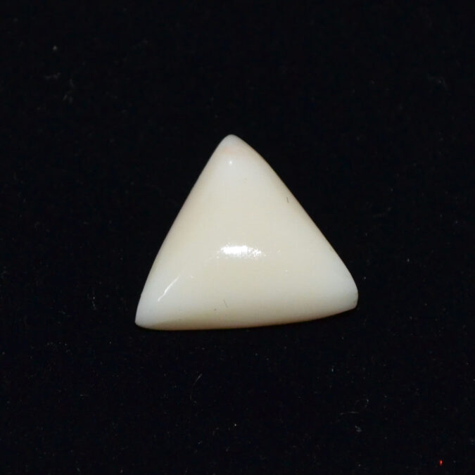 WC403 1 WHITE CORAL 14.13 Ct.