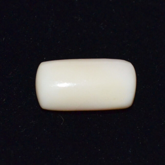 WHITE CORAL 20.57 Ct. 1 WC405 1 WHITE CORAL 20.57 Ct.