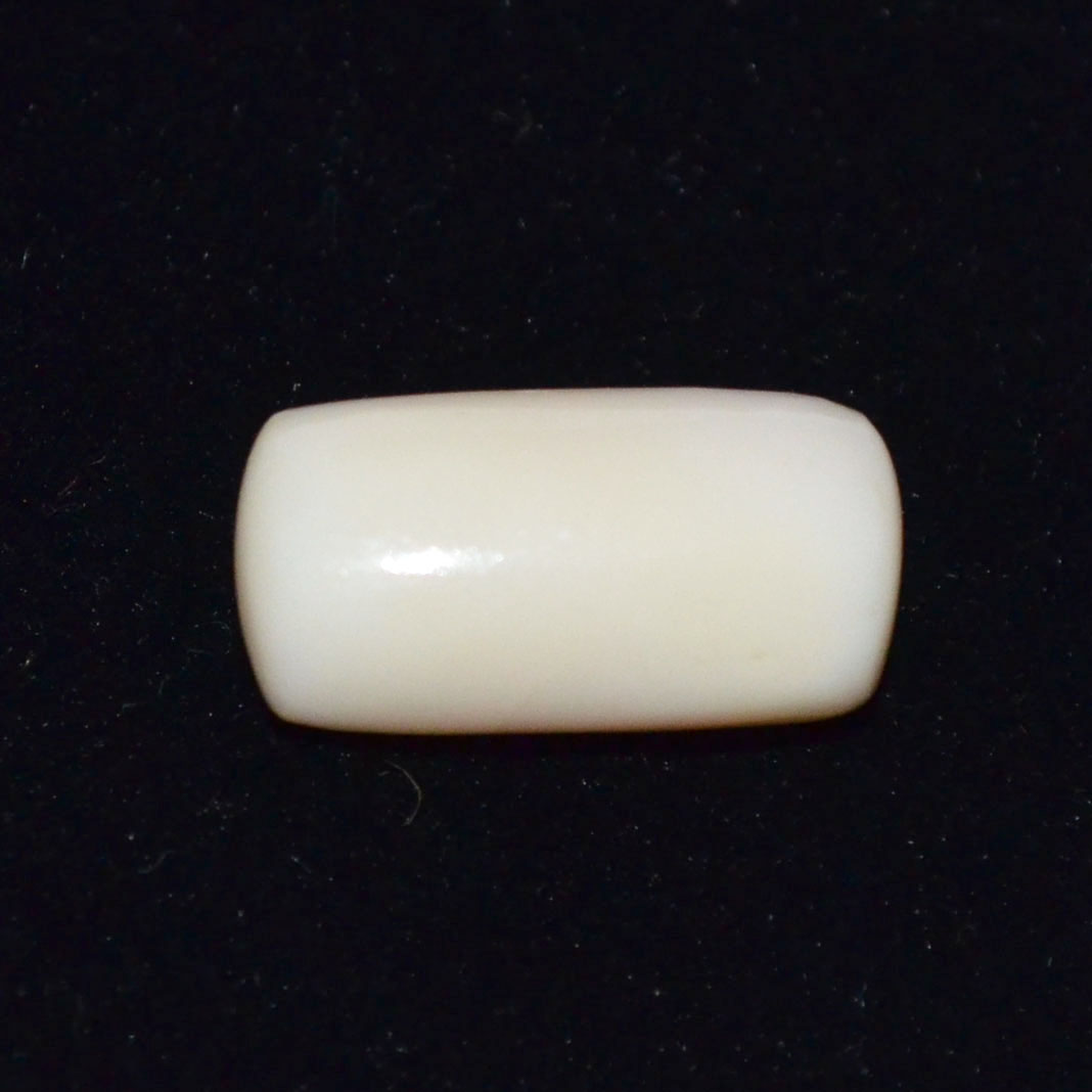 WHITE CORAL 20.57 Ct.