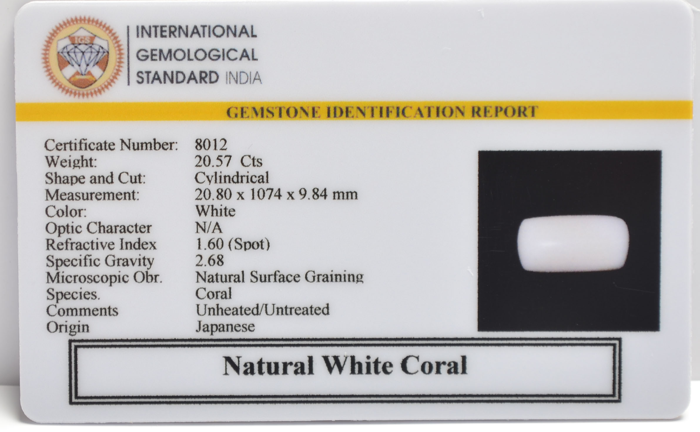 WHITE CORAL 20.57 Ct. 3 WC405 2 WHITE CORAL 20.57 Ct.