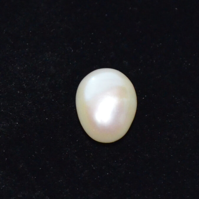 2339 1 KESHI PEARL 5.56 Ct.