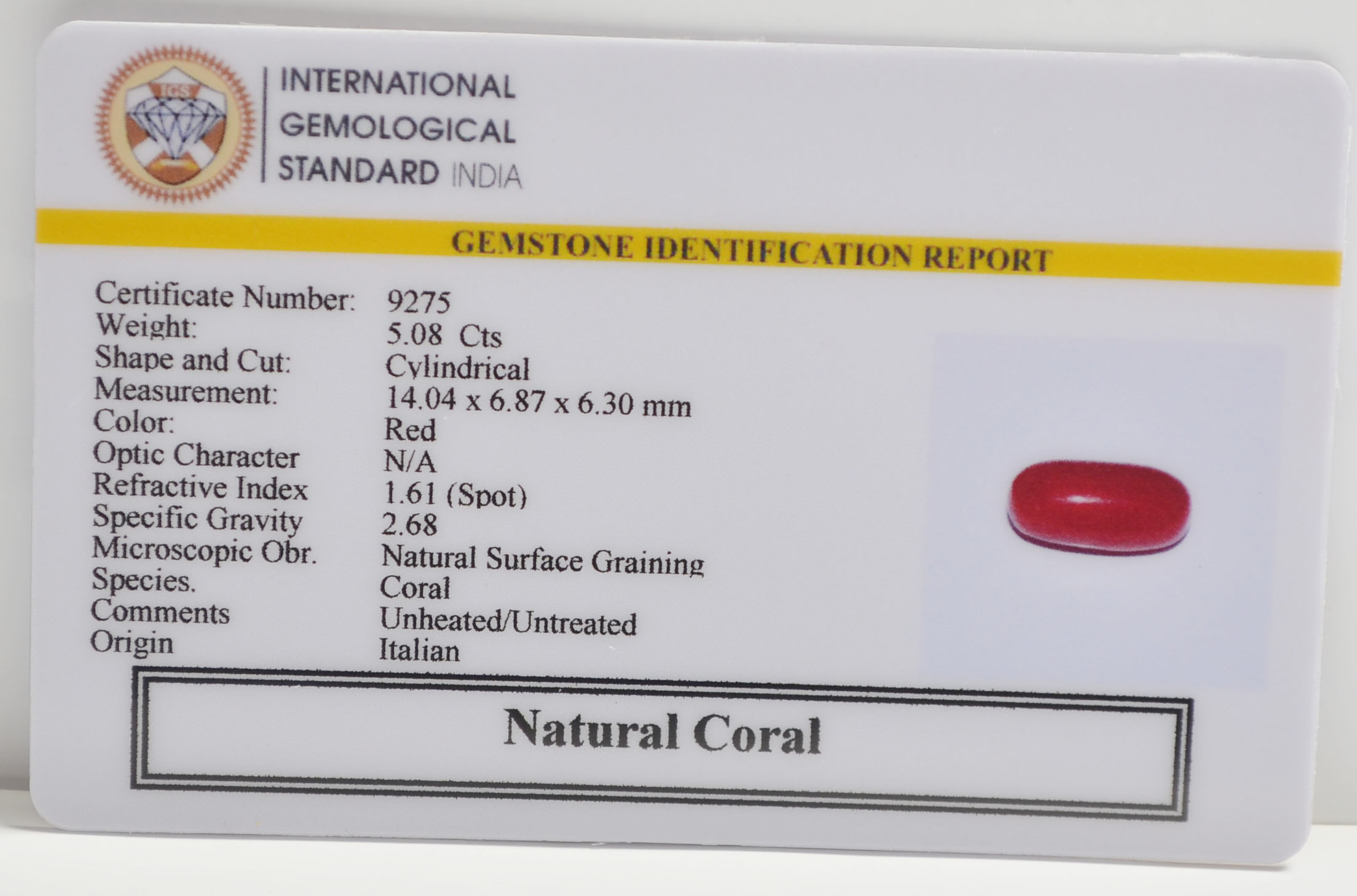 CRL6306 2 CORAL 5.08 Ct.