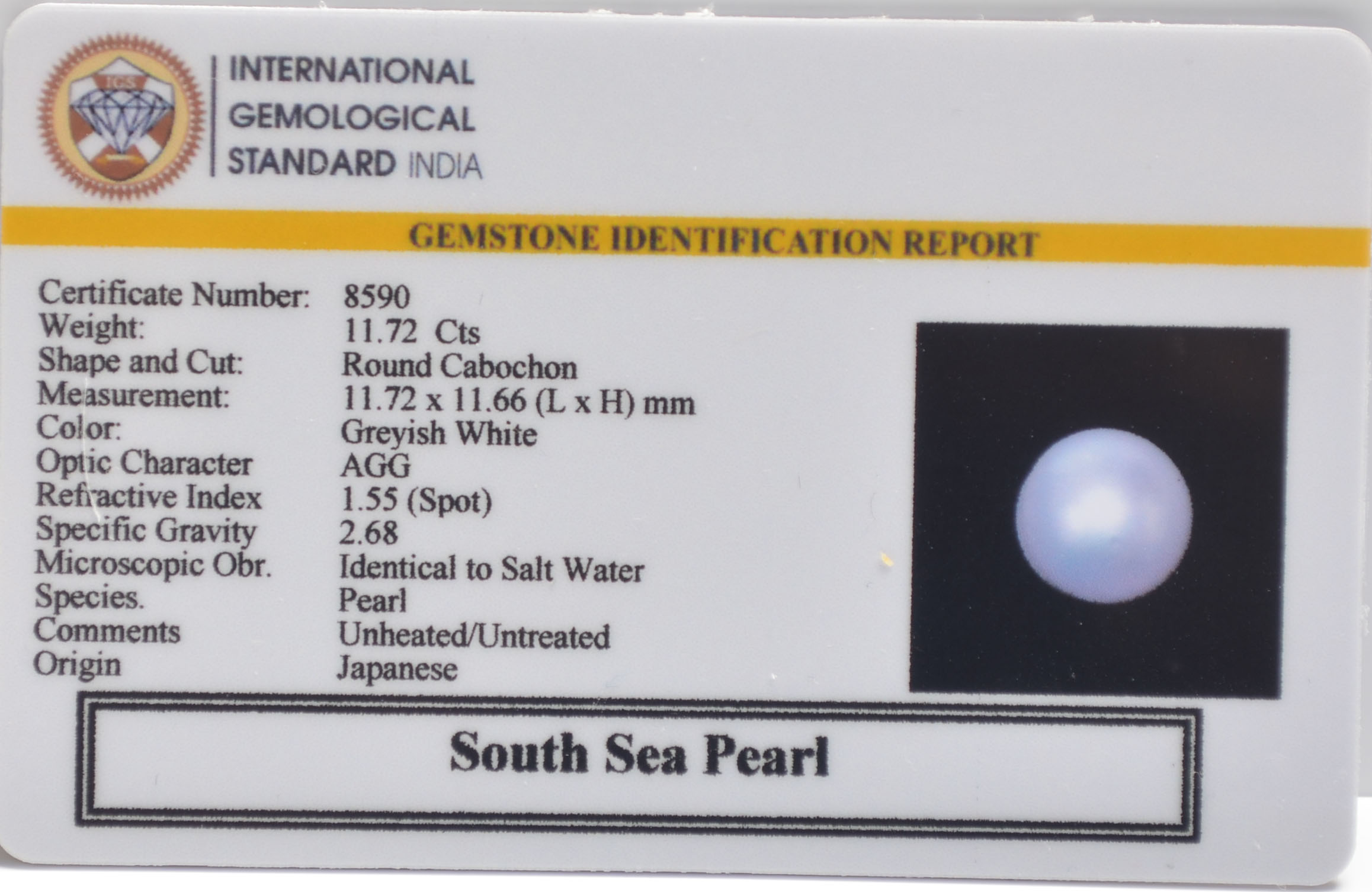 DSP3191 2 SOUTH SEA PEARL 11.72 Ct.