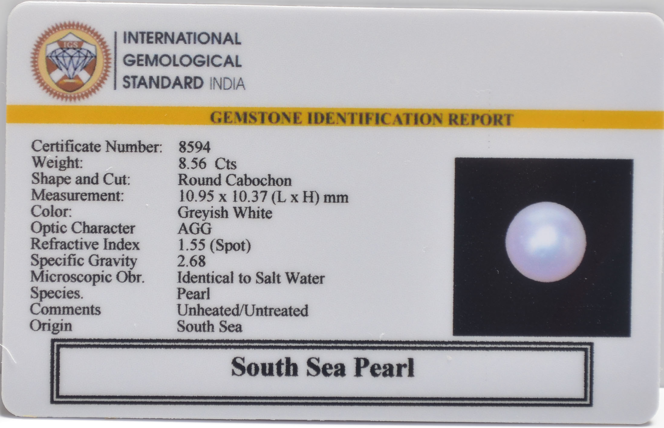 DSP3195 2 SOUTH SEA PEARL 8.56 Ct.