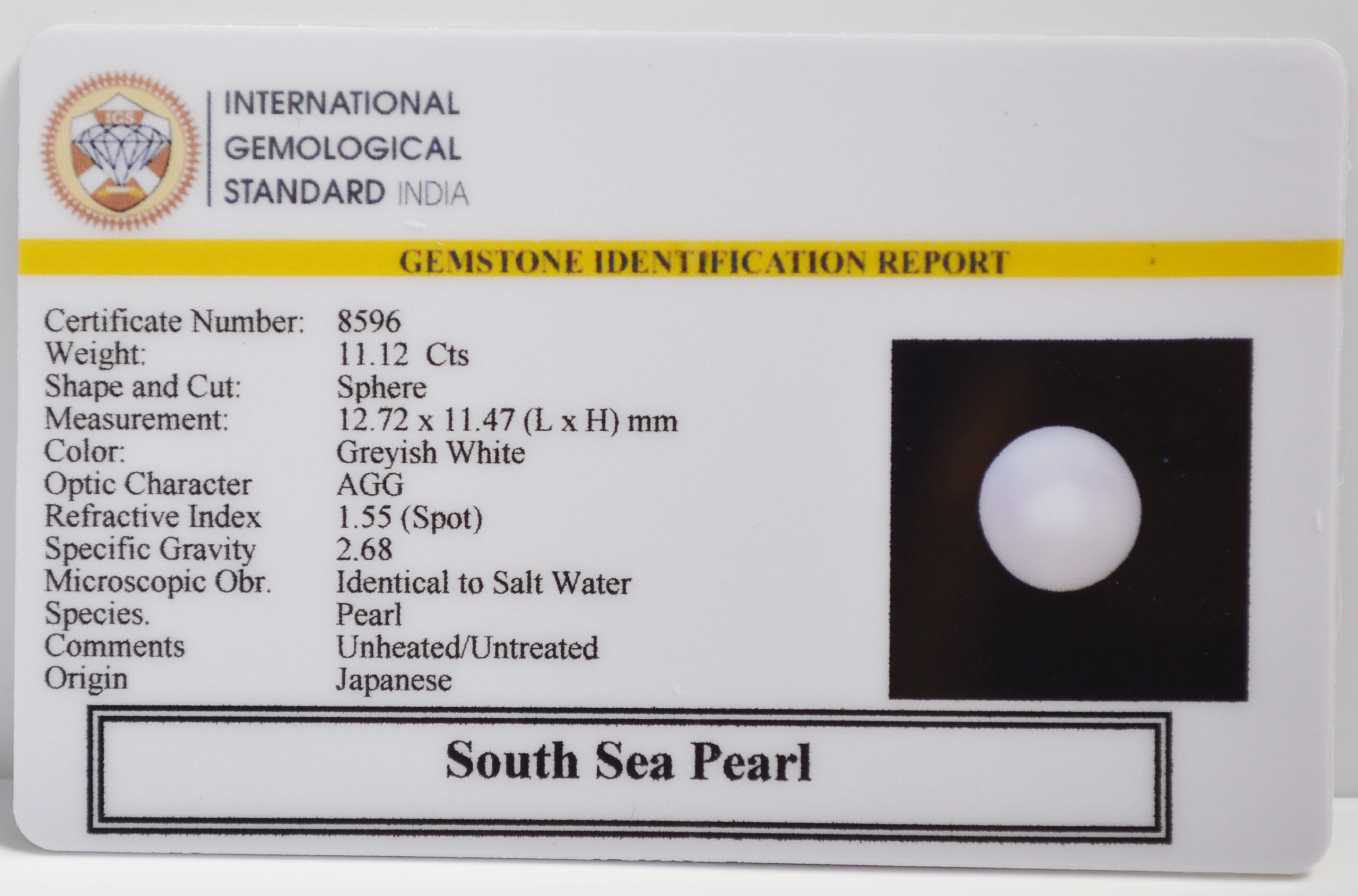 DSP3197 2 scaled SOUTH SEA PEARL 11.12 Ct.