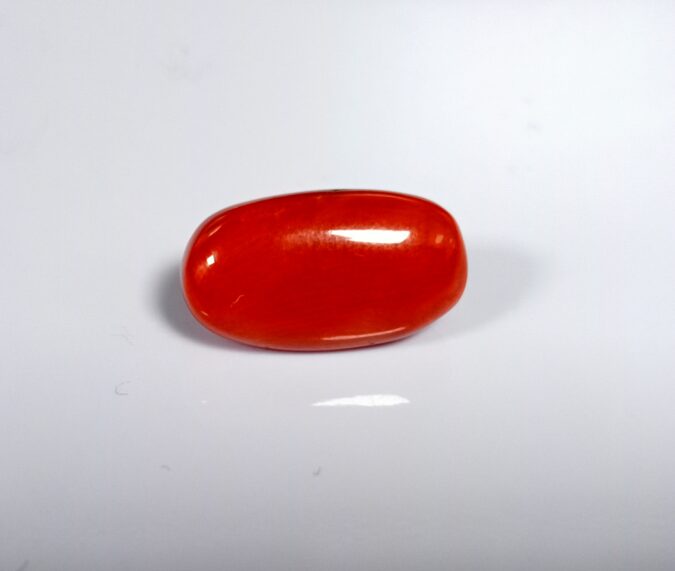 Coral 8.1 Ct. 1 IMG 20260116 140856 Coral 8.1 Ct.