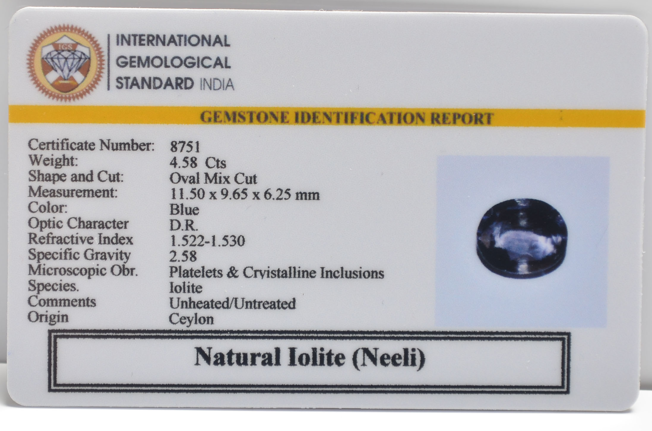NIL2689 2 IOLITE NILLI 4.58 Ct.