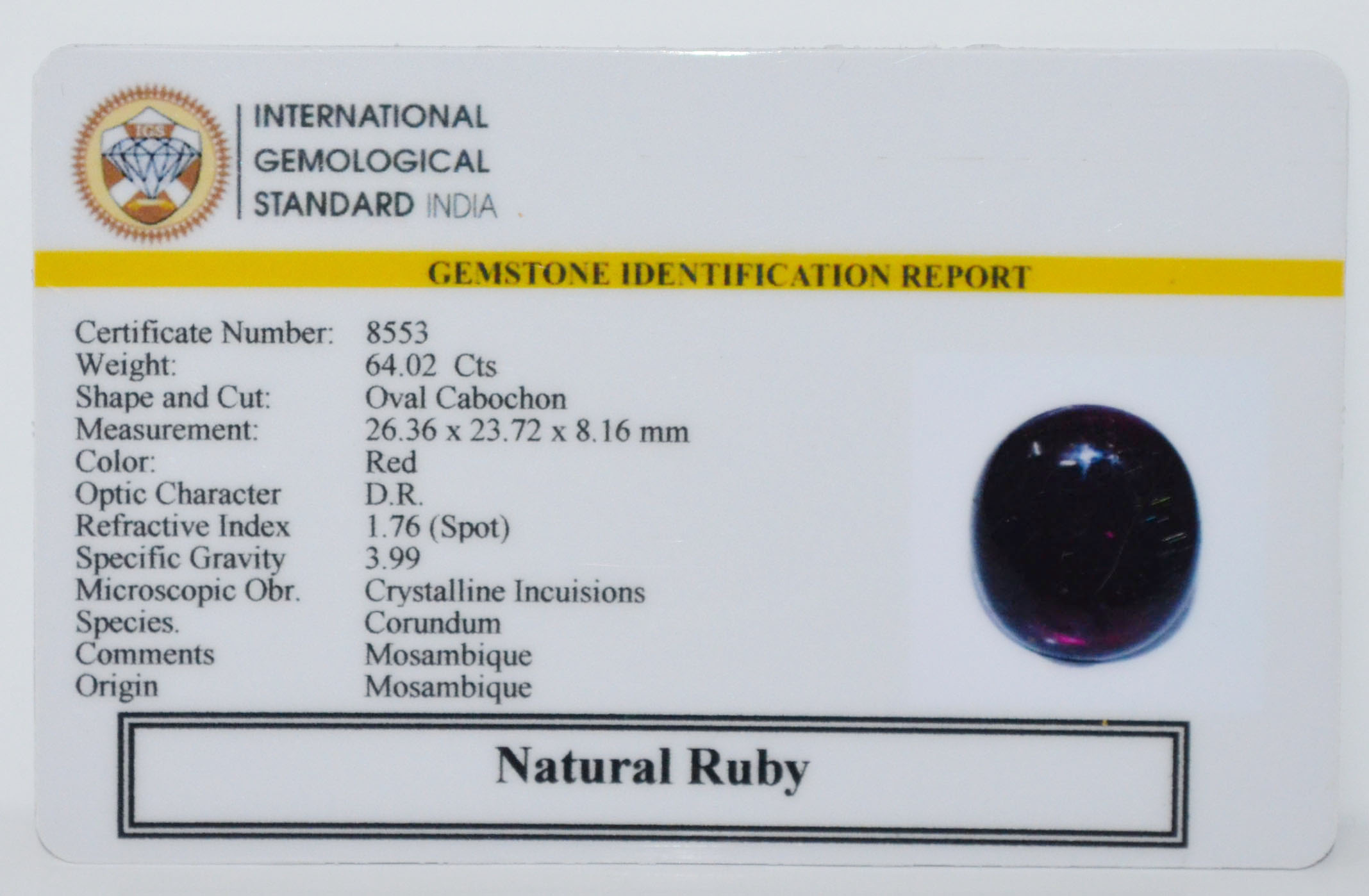 RUB8456 2 RUBY 64.02 Ct.