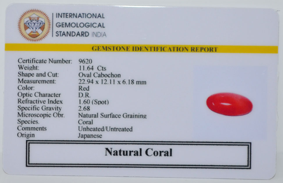 CORAL 11.64 Ct. 3 CRL6328 2 CORAL 11.64 Ct.