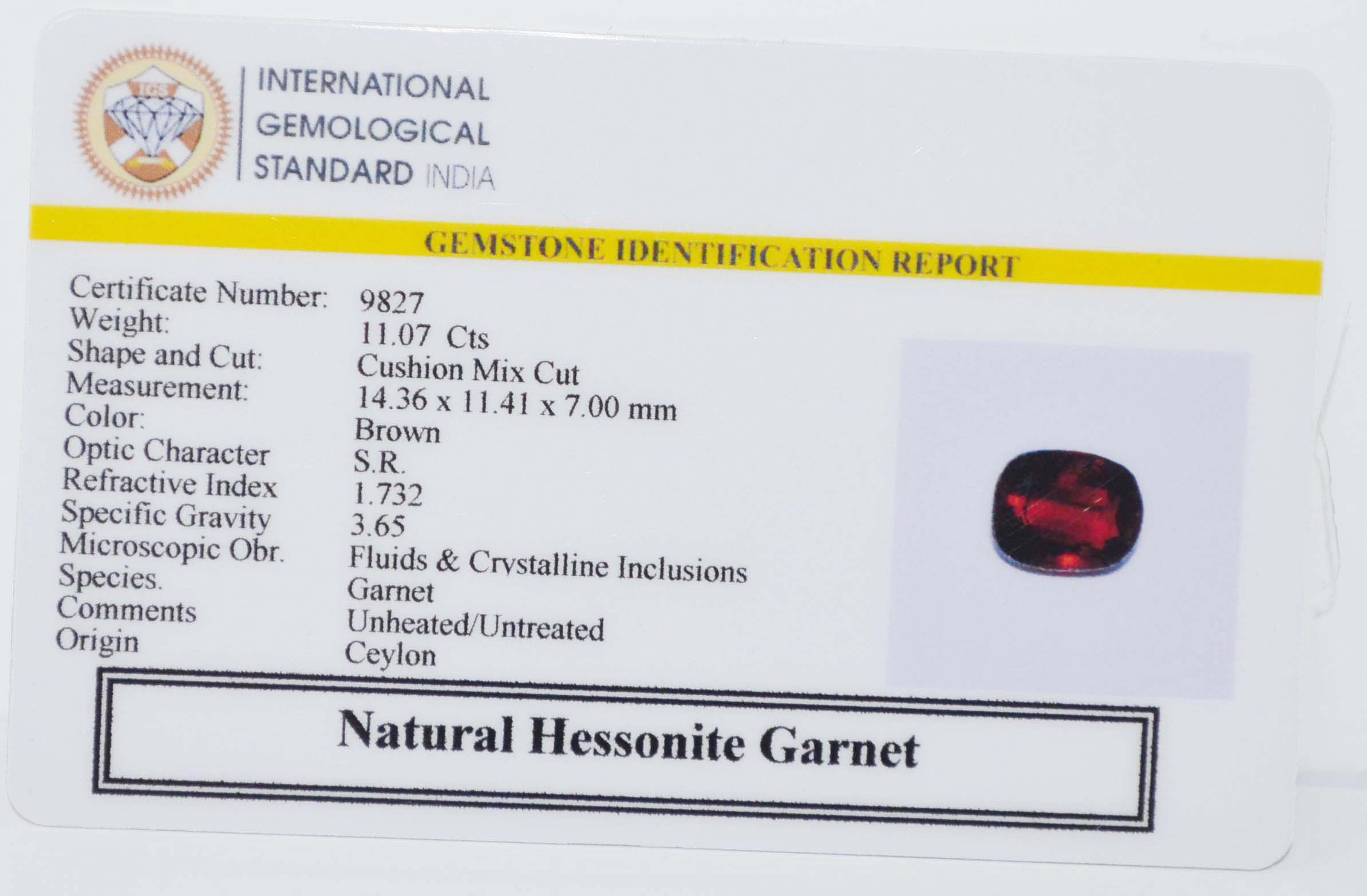 GMD7679 2 HESSONITE GOMED 11.07 Ct.