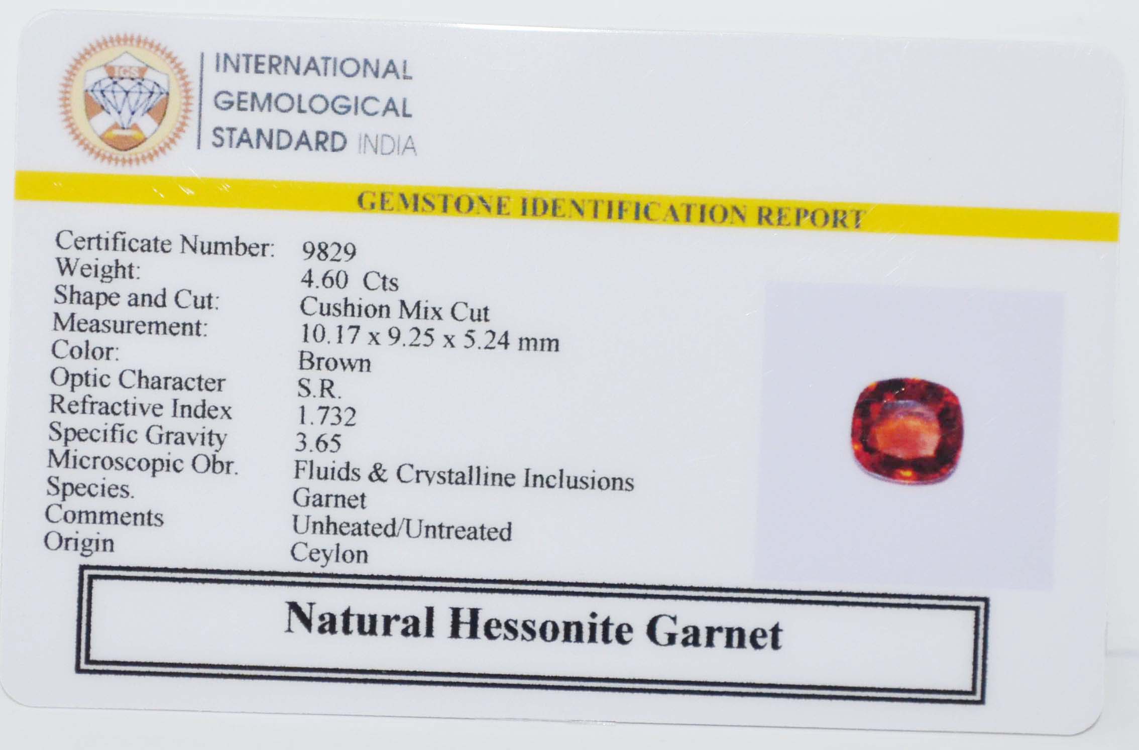 GMD7680 2 HESSONITE GOMED 4.6 Ct.