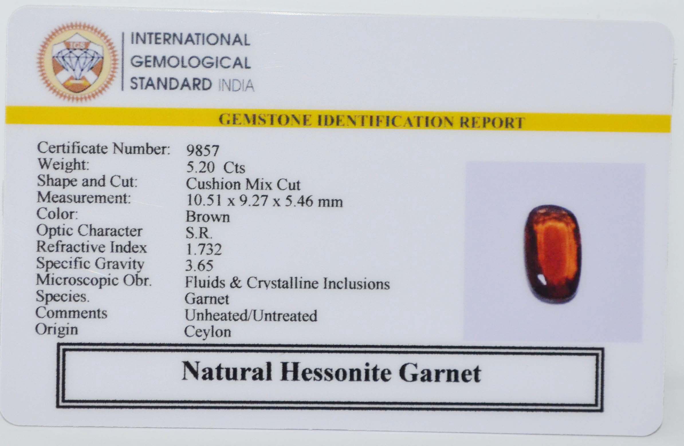 GMD7702 2 HESSONITE GOMED 5.2 Ct.