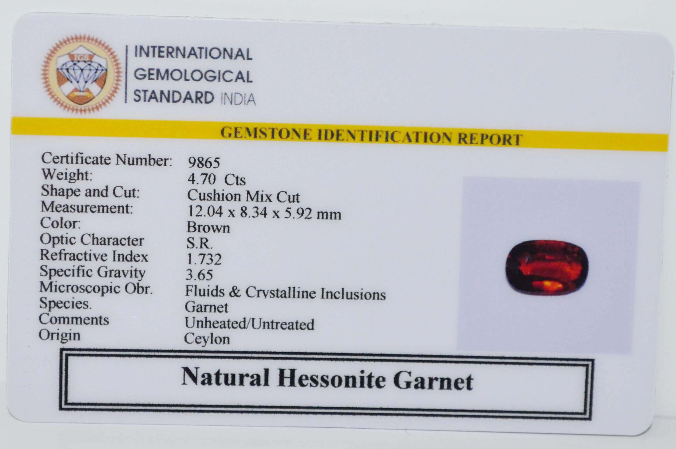 GMD7709 2 HESSONITE GOMED 4.7 Ct.