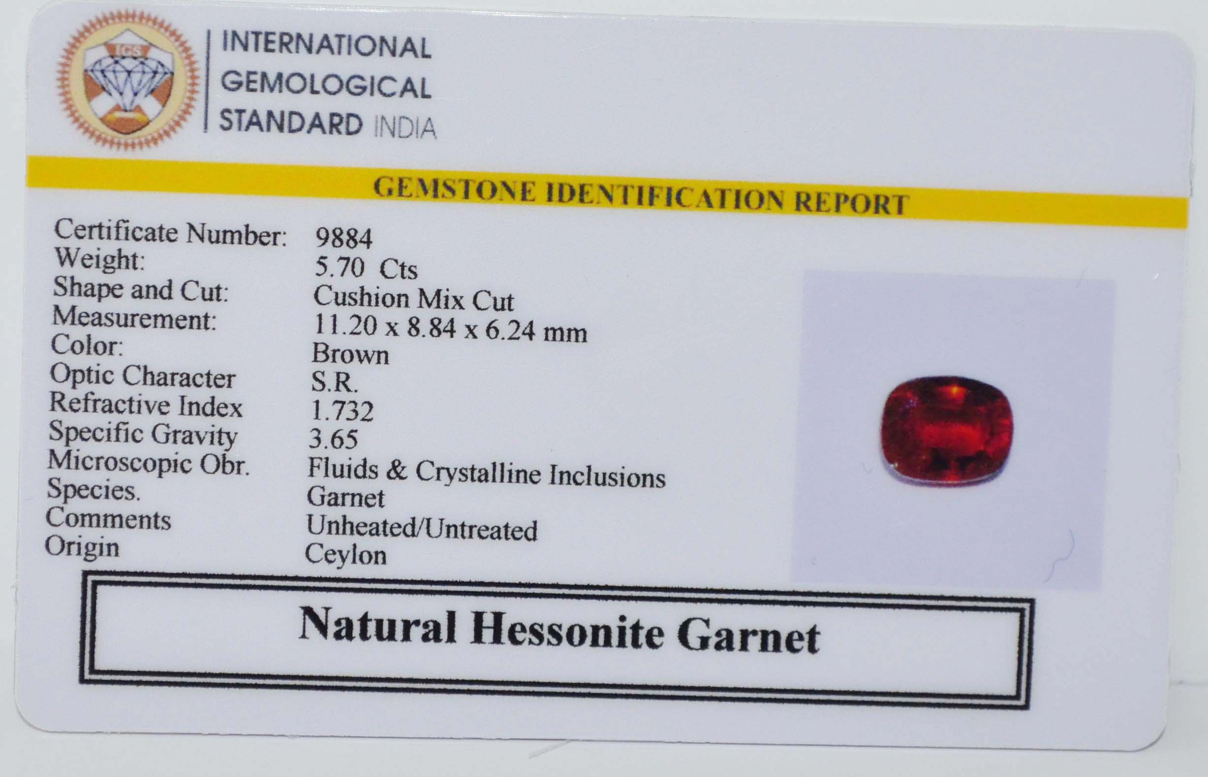 GMD7721 2 HESSONITE GOMED 5.7 Ct.