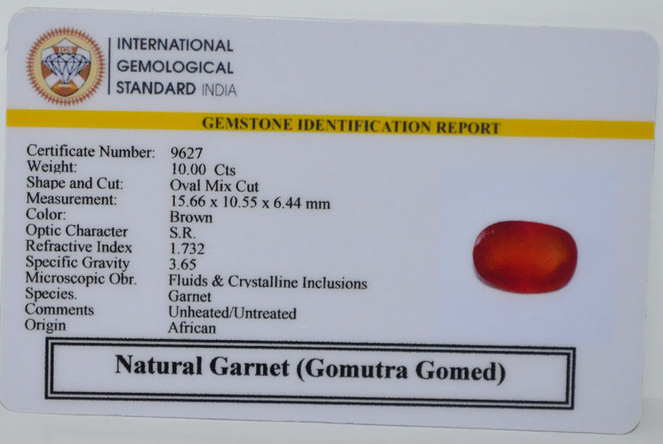 GMDG7222 2 Gomutra Gomed 10 Ct.