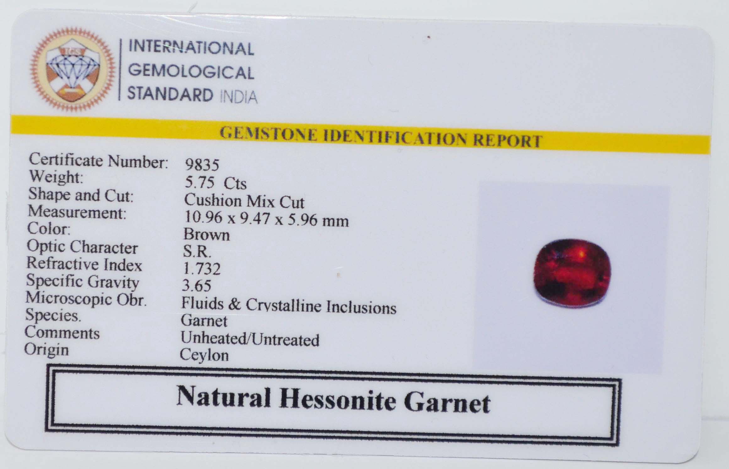 GMDG7237 2 HESSONITE GOMED 5.75 Ct.