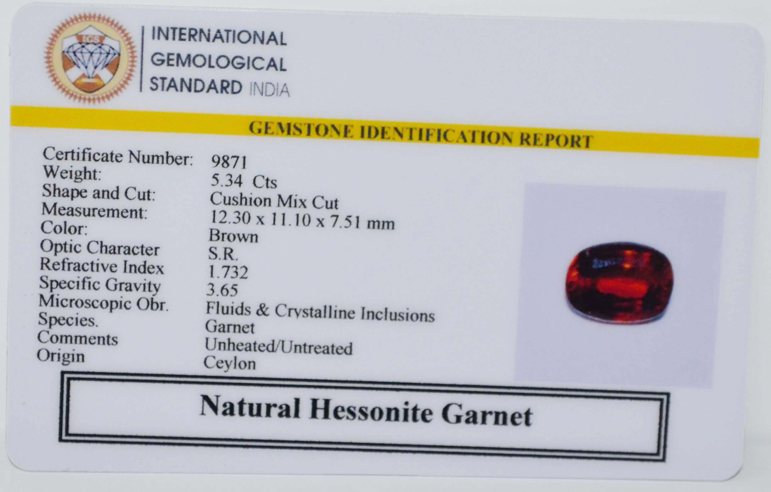 GMDG7245 2 HESSONITE GOMED 5.34 Ct.