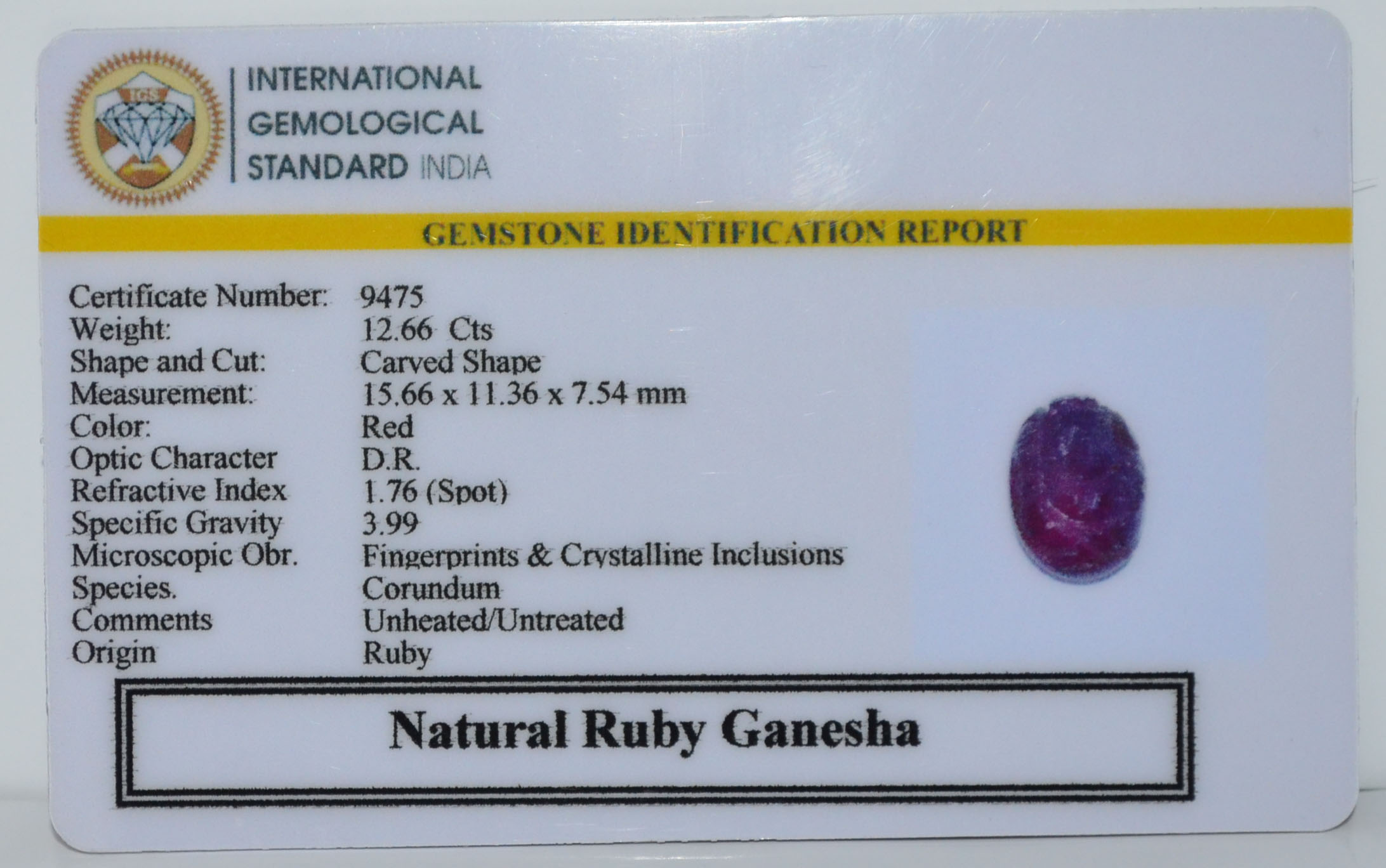 GRUB6 2 Ganesh Ruby 12.66 Ct.