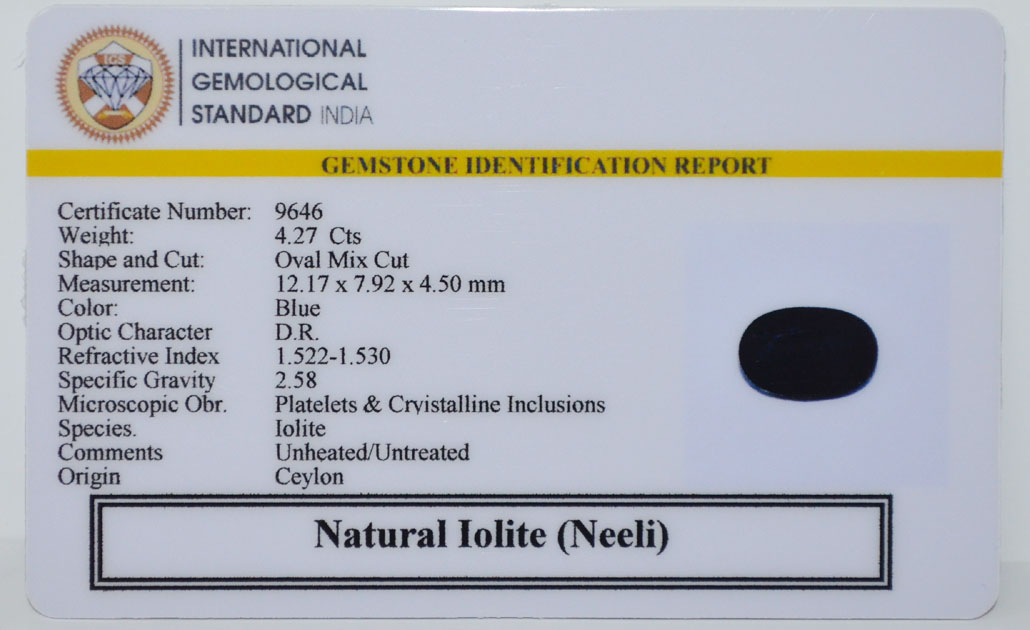 NILG2664 2 IOLITE NILLI 4.27 Ct.