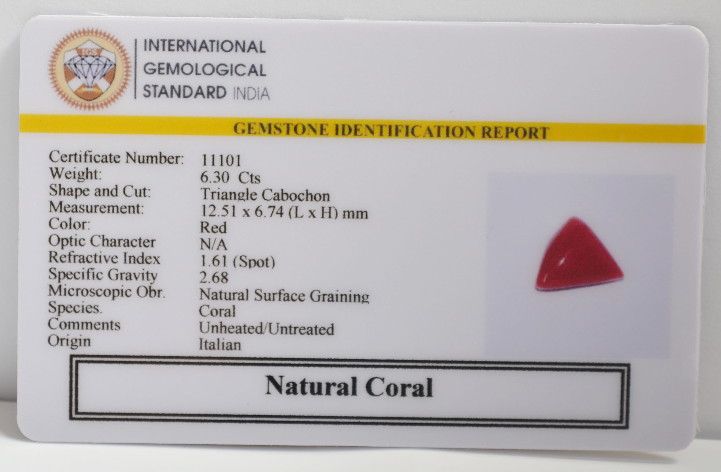 CRL6335 2 CORAL 6.3 Ct.
