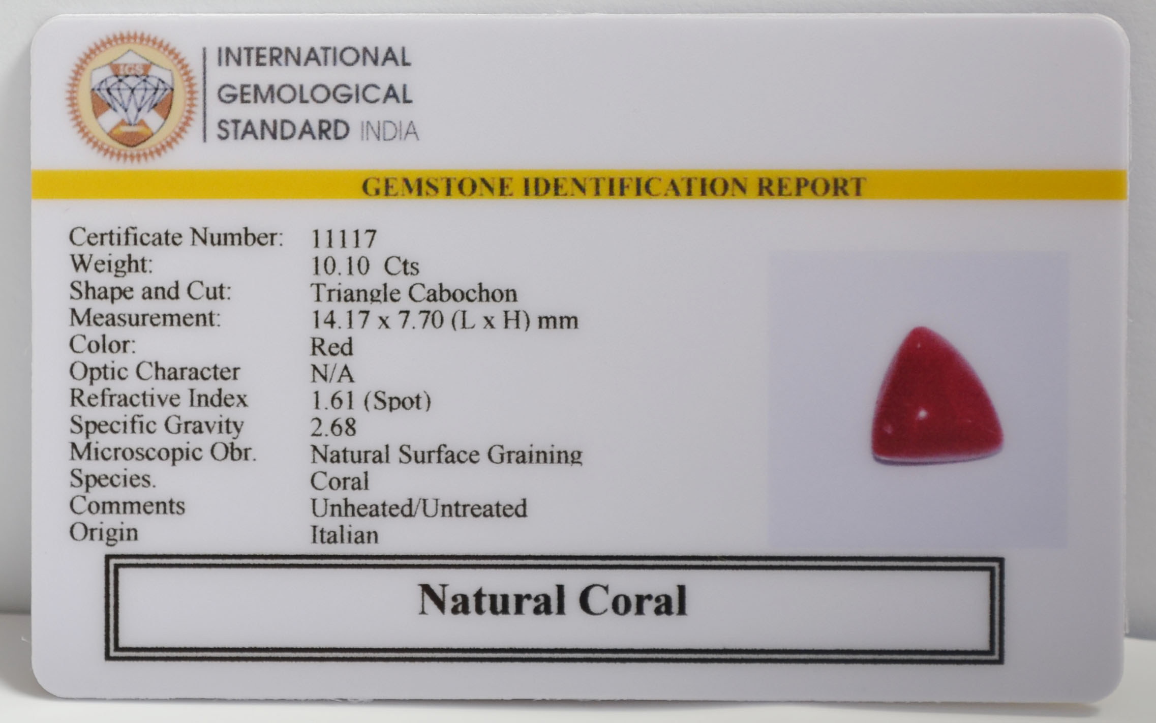 CRL6349 2 CORAL 10.1 Ct.