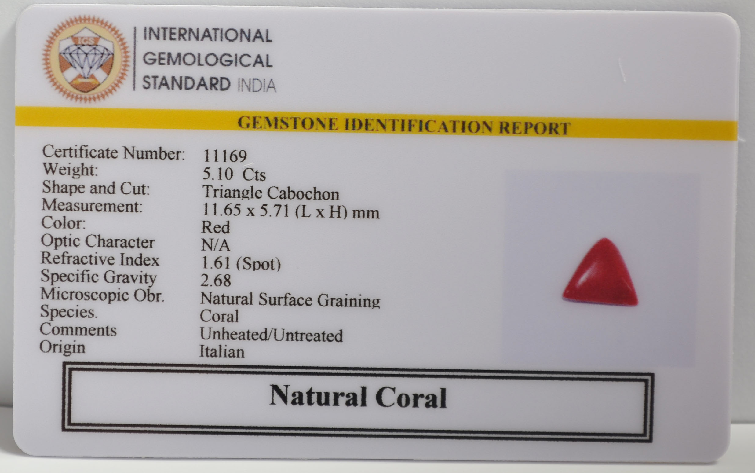 CRL6389 2 CORAL 5.1 Ct.