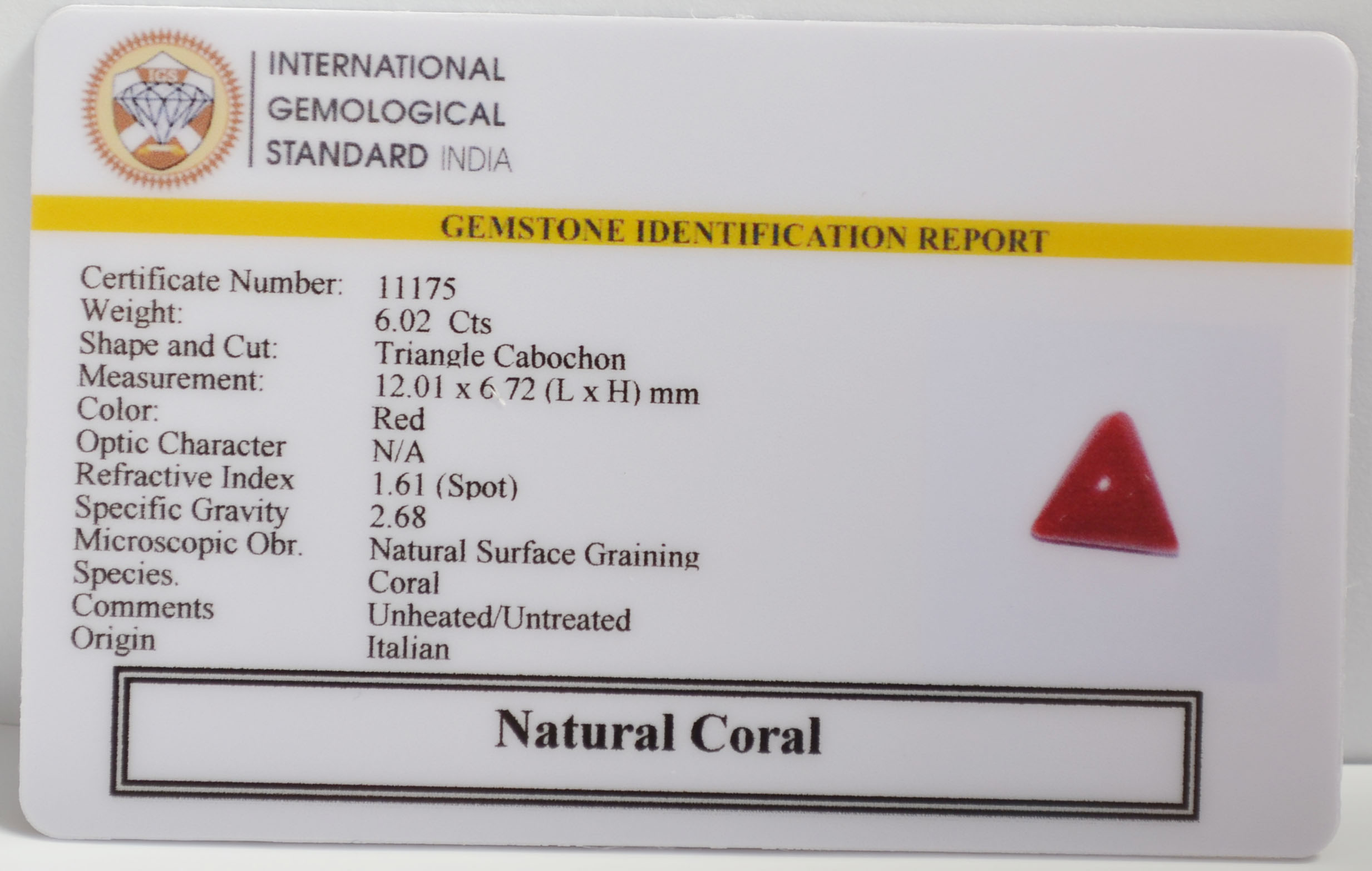 CRL6393 2 CORAL 6.02 Ct.