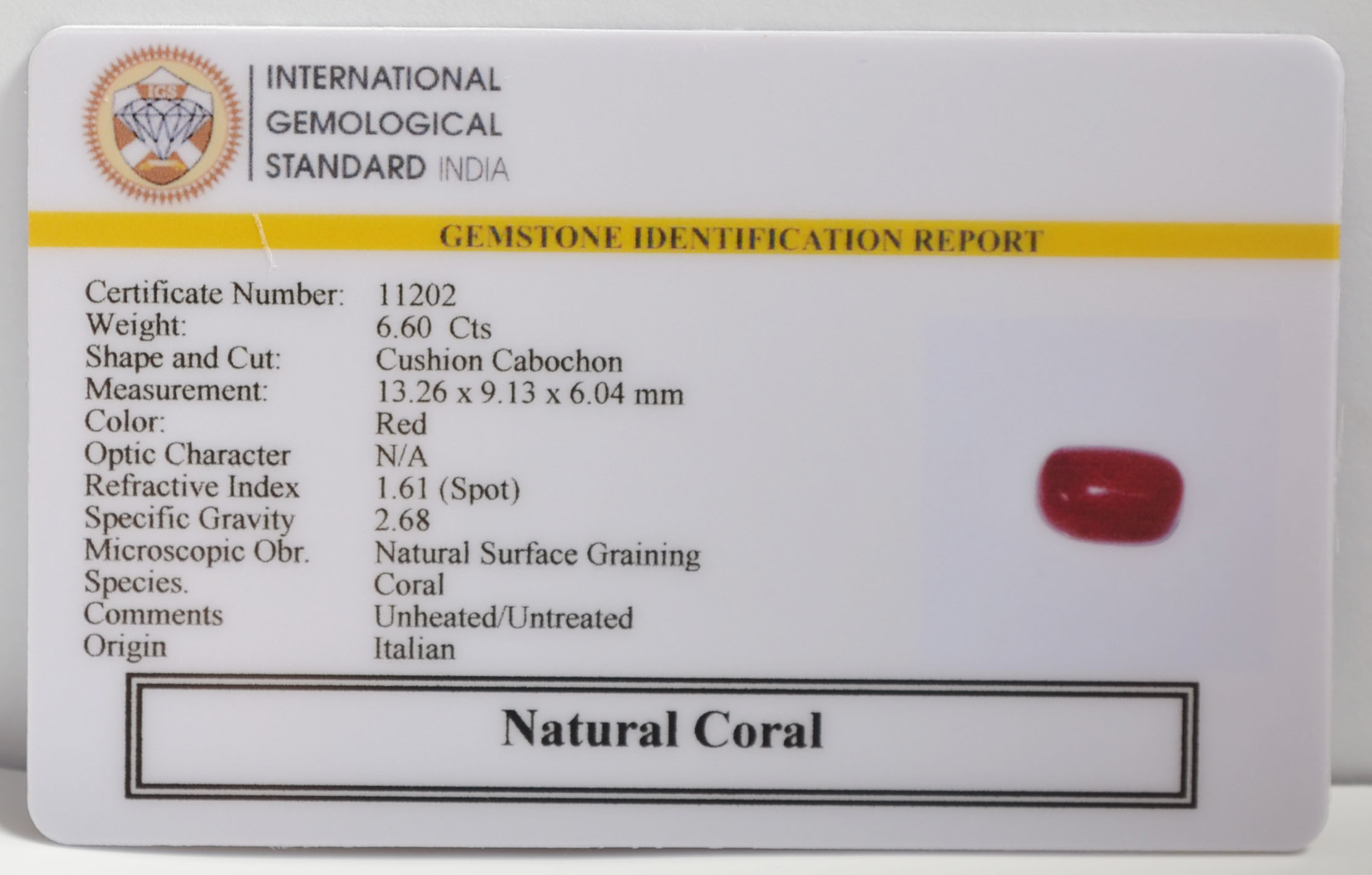 CRLG6308 2 CORAL 6.6 Ct.