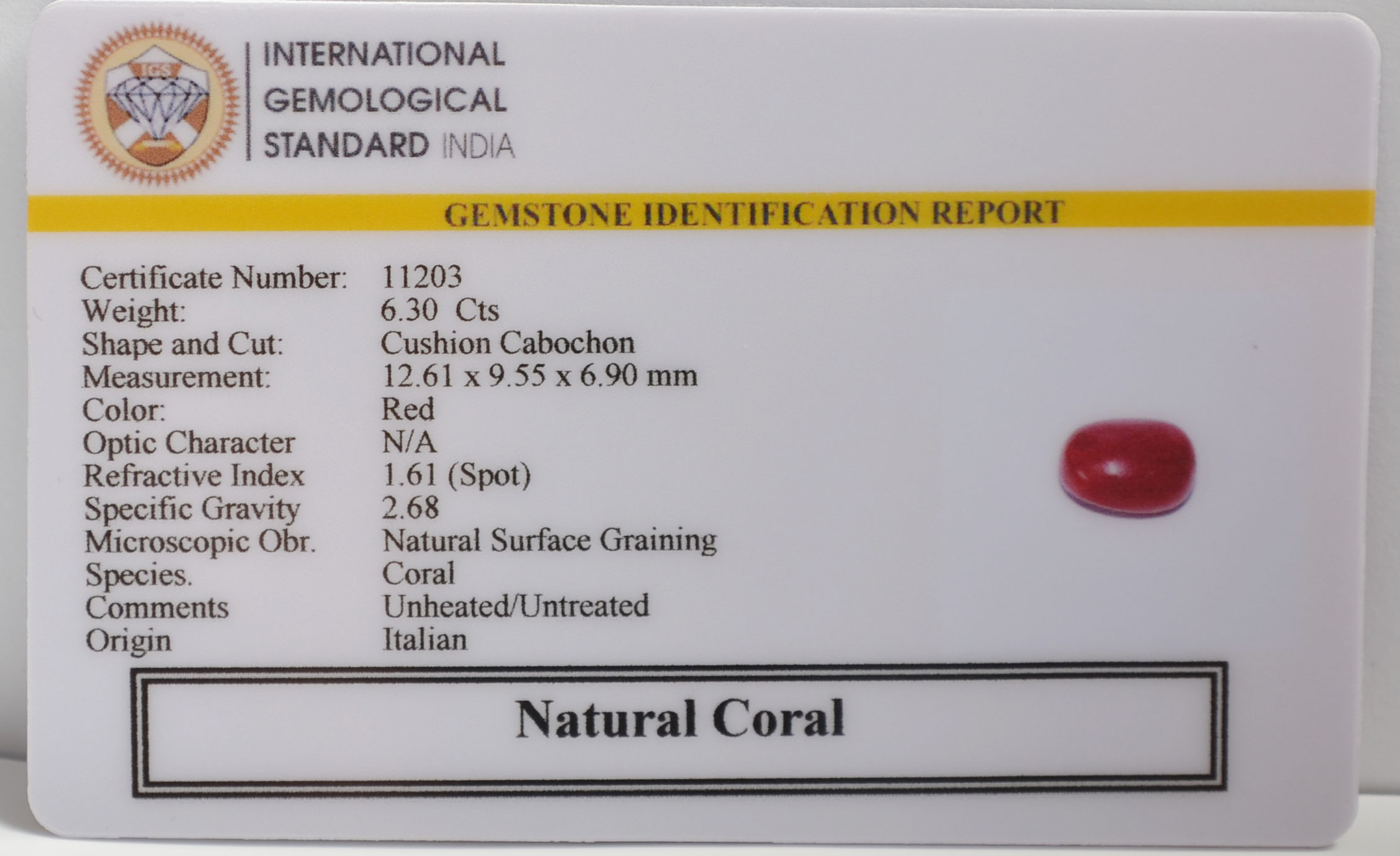 CRLG6309 2 CORAL 6.3 Ct.