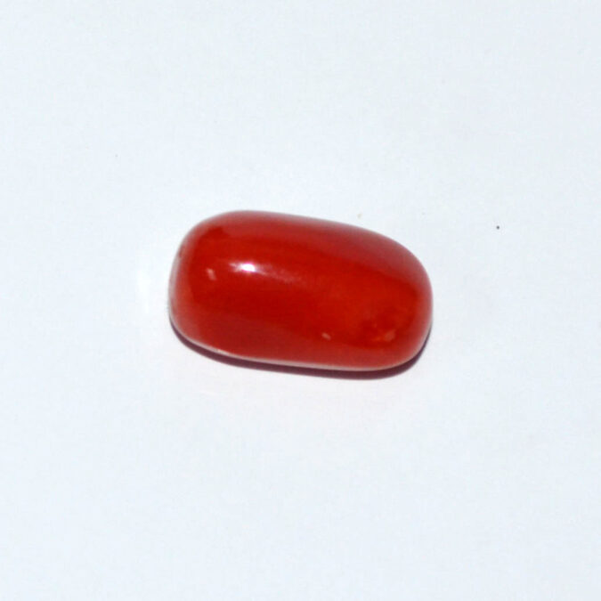 CORAL 5.3 Ct. 1 CRLG6313 1 CORAL 5.3 Ct.