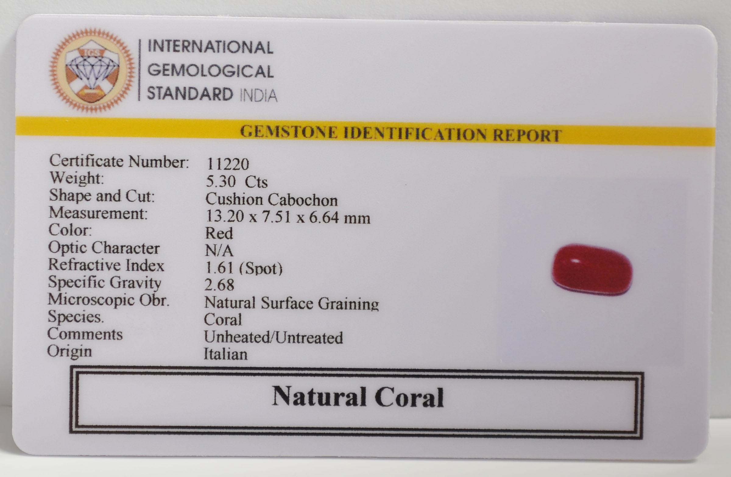 CORAL 5.3 Ct. 3 CRLG6313 2 CORAL 5.3 Ct.