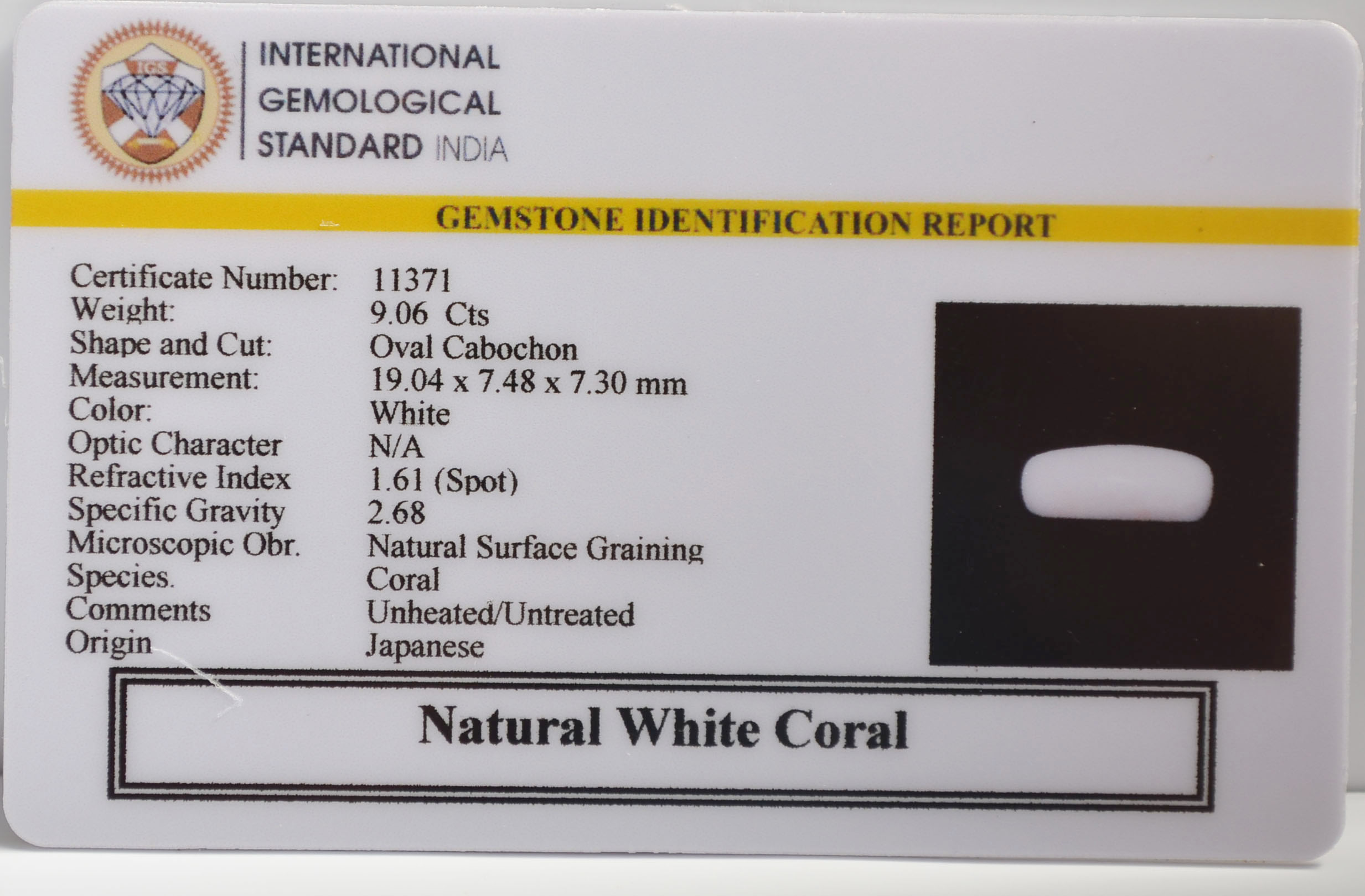 WHITE CORAL 9.06 Ct. 3 WC406 2 WHITE CORAL 9.06 Ct.