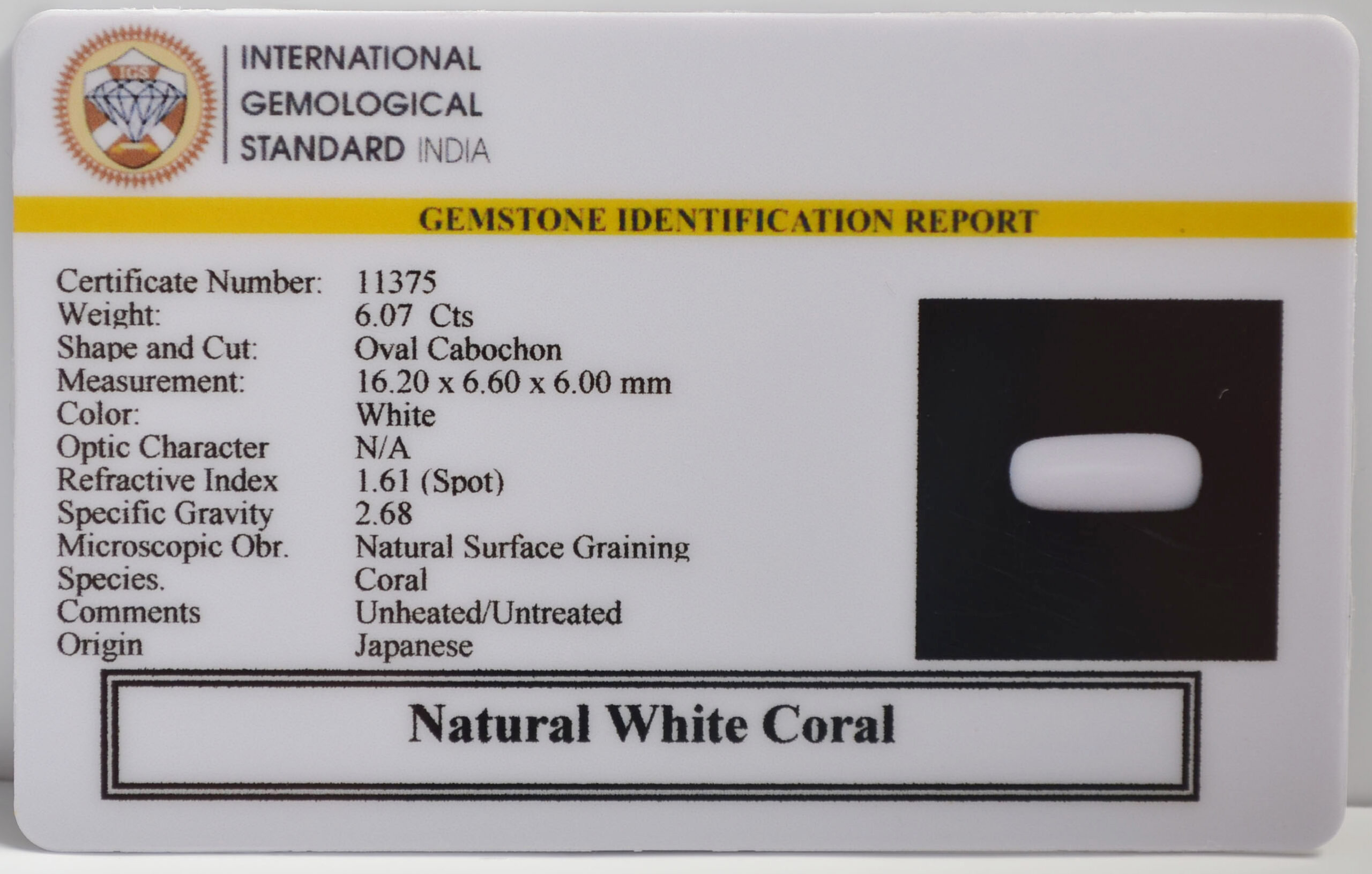 WHITE CORAL 6.07 Ct. 3 WC410 2 scaled WHITE CORAL 6.07 Ct.