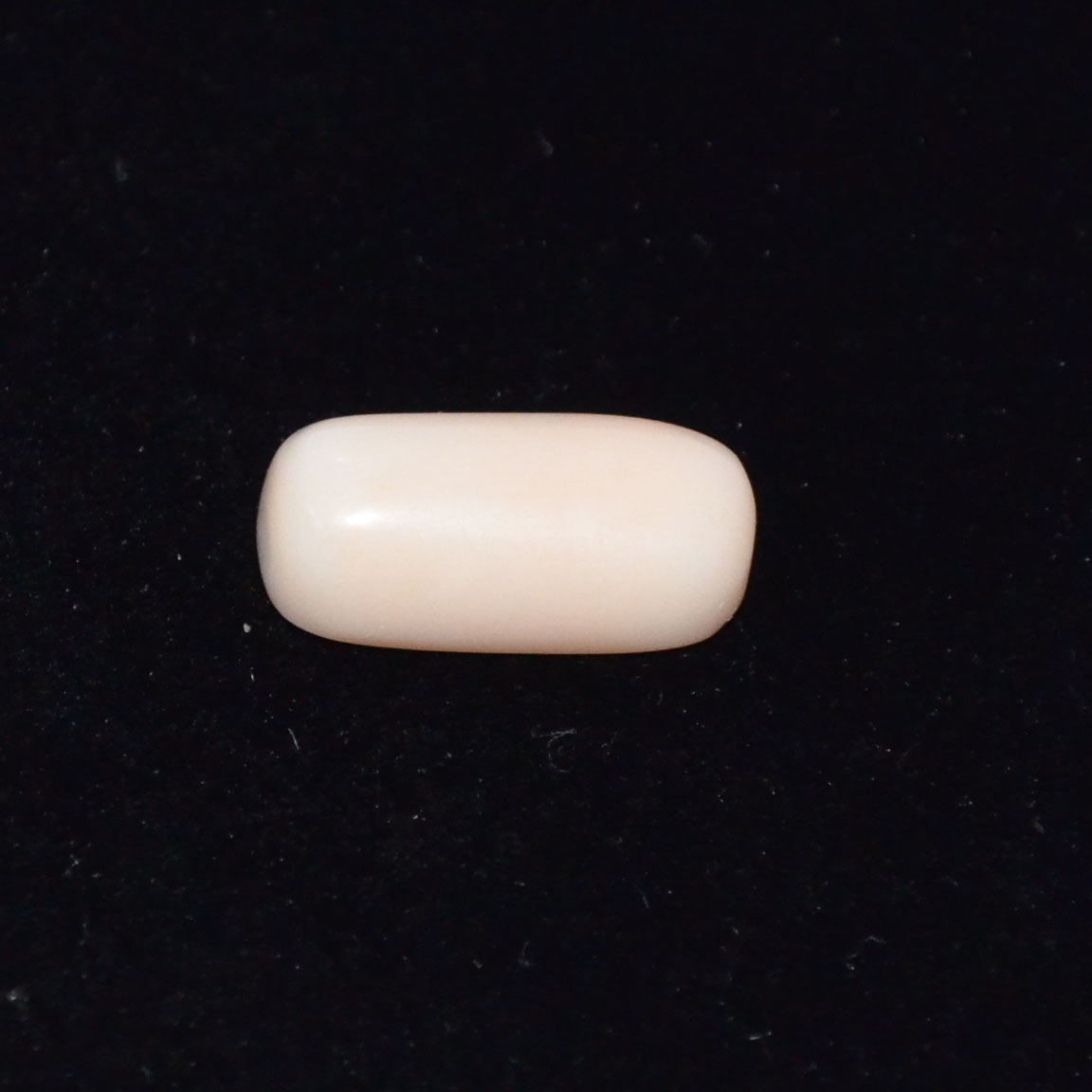 WHITE CORAL 7.85 Ct.