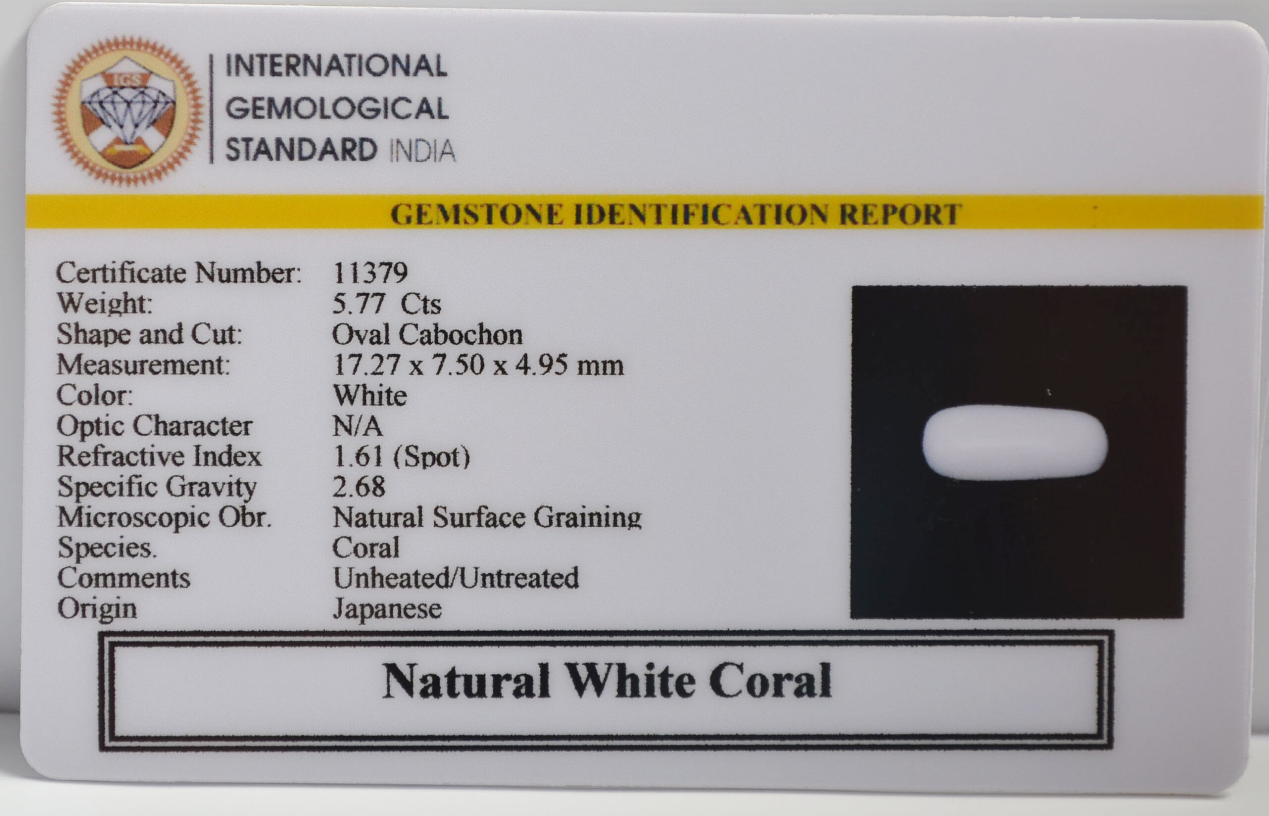 WC412 2 scaled WHITE CORAL 5.77 Ct.