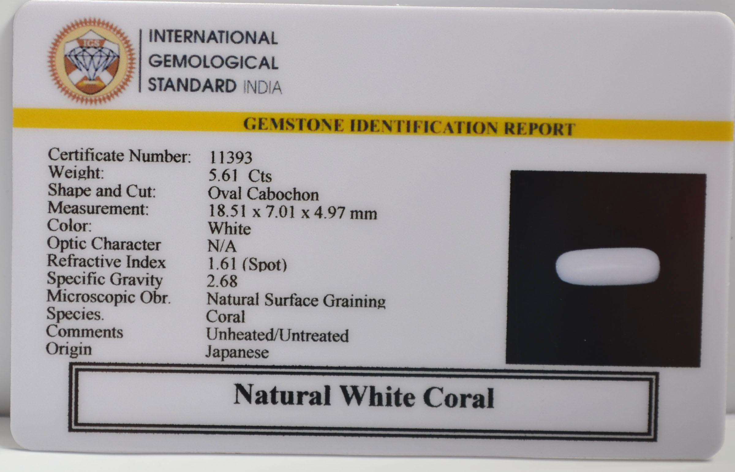 WC421 2 WHITE CORAL 5.61 Ct.