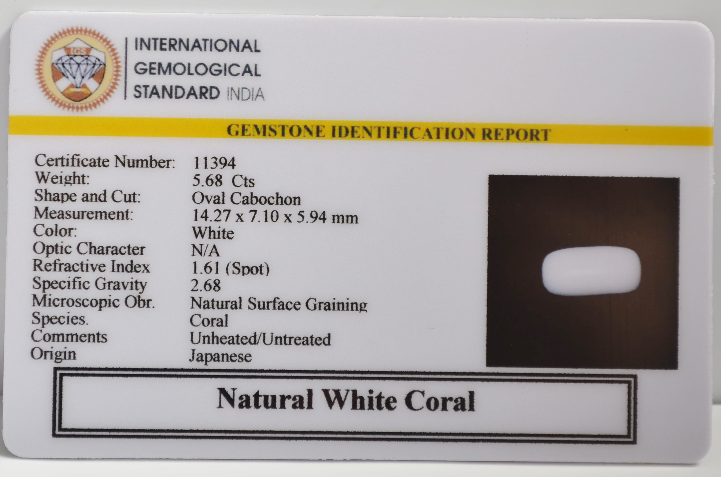 WC422 2 WHITE CORAL 5.68 Ct.