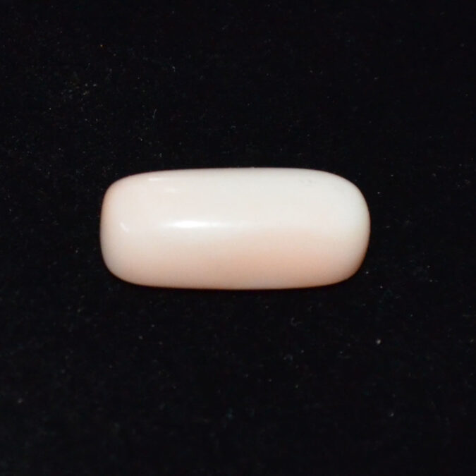 WHITE CORAL 8.22 Ct. 1 WC423 1 WHITE CORAL 8.22 Ct.