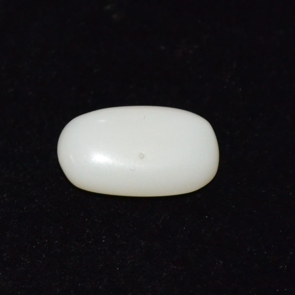 WHITE CORAL 8 Ct.