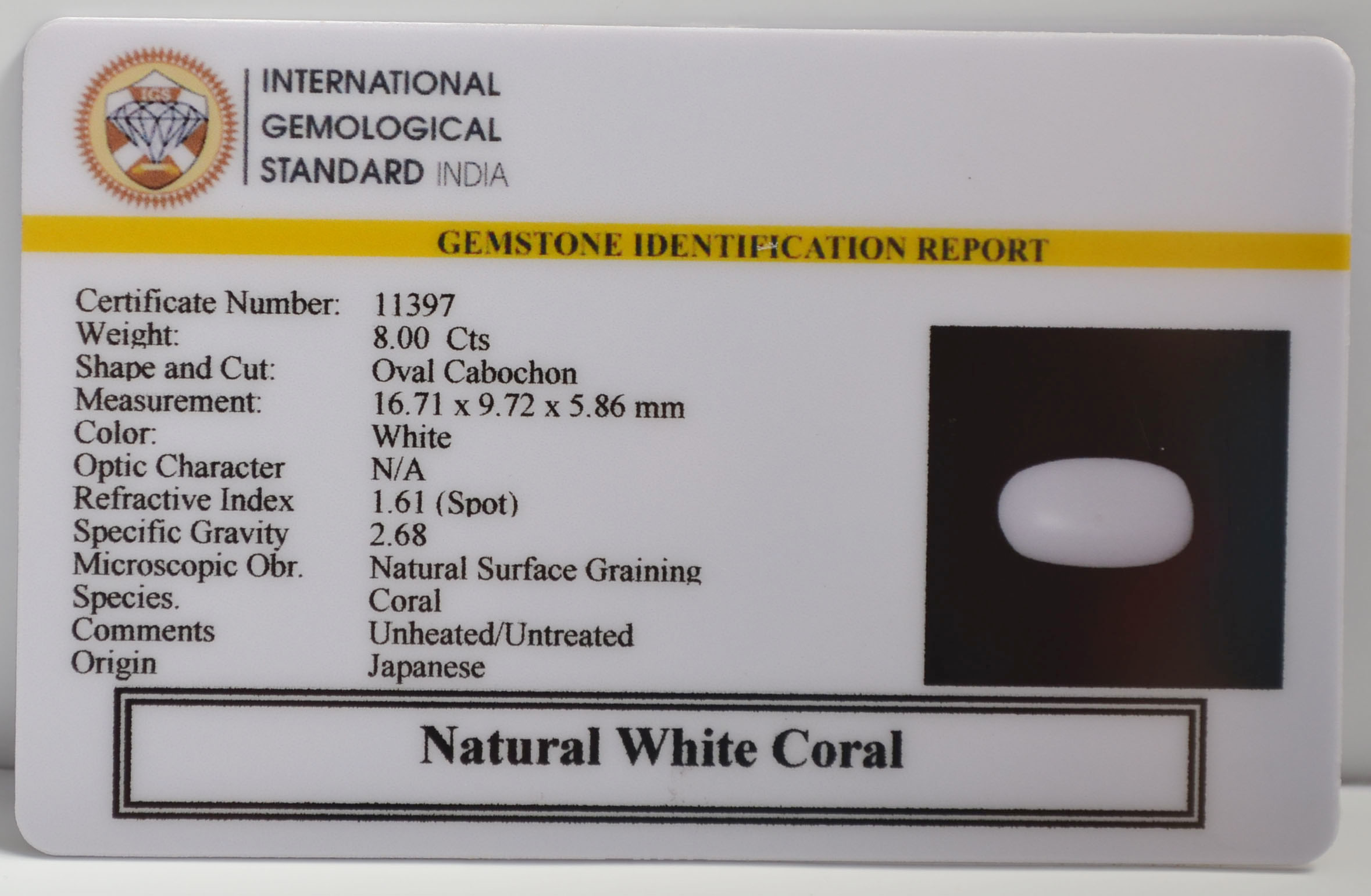WC424 2 WHITE CORAL 8 Ct.