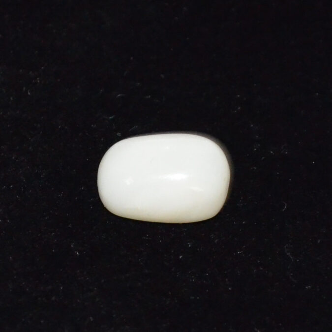 WC427 1 WHITE CORAL 4.91 Ct.