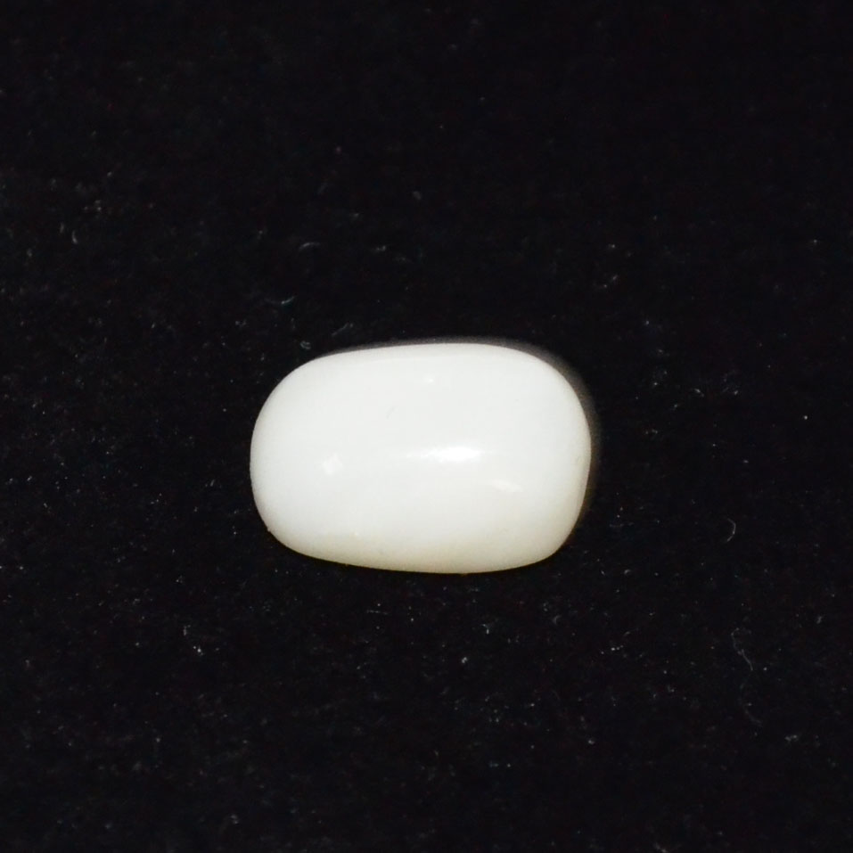 WHITE CORAL 4.91 Ct.