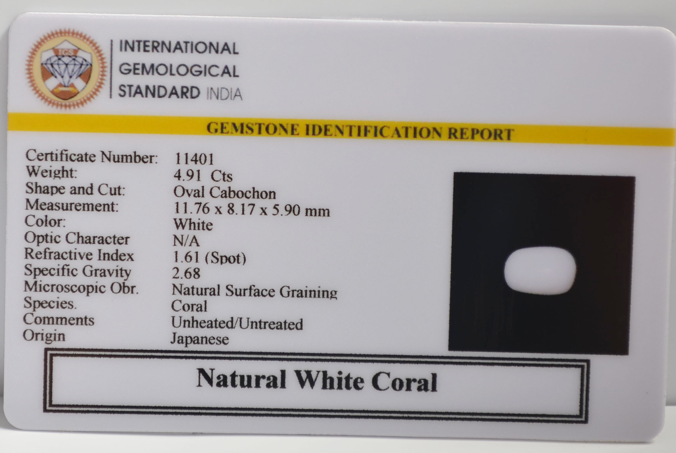WC427 2 WHITE CORAL 4.91 Ct.