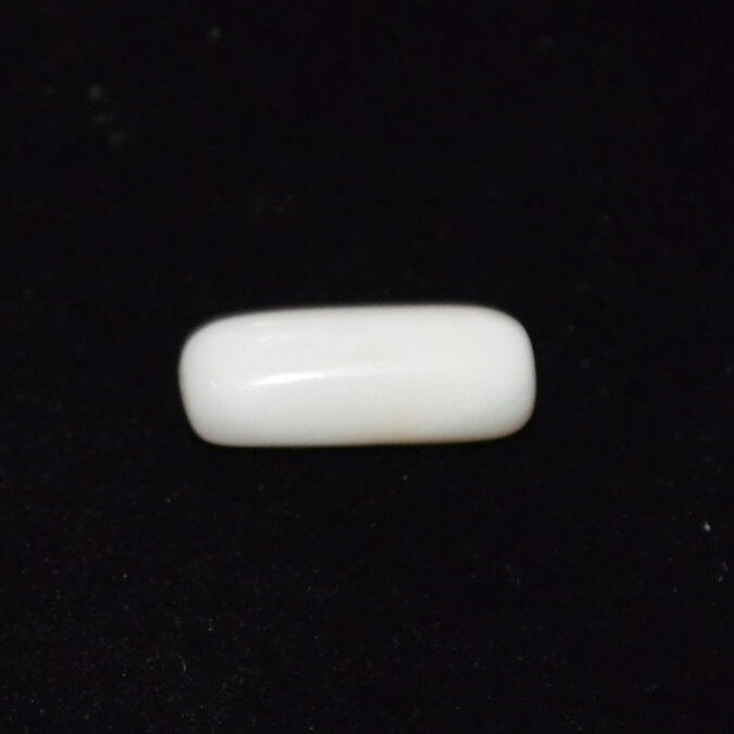 WC428 1 WHITE CORAL 6.31 Ct.